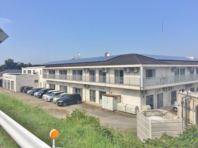 セントポーリア