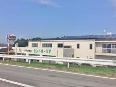 セントポーリア