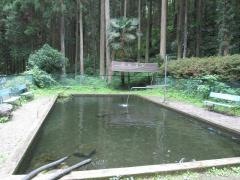 日の出町自然休養村「さかな園」