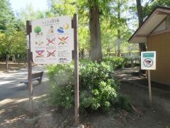 しょうぶ沼公園