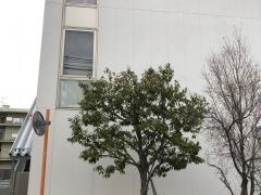 文化学園長野専門学校