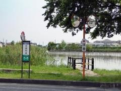 「今道内湖」バス停留所