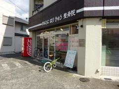 かみたにはりきゅう整骨院