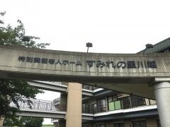 すみれの里・川越