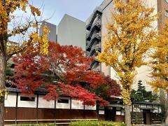 名古屋 河文