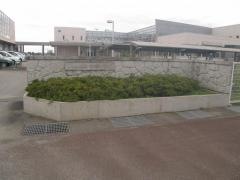 中埣小学校
