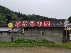 観光農園柴久園