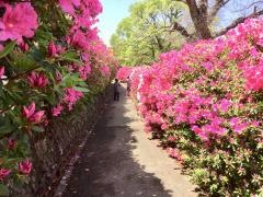 長串山公園