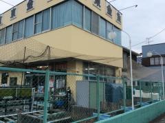有東金魚店