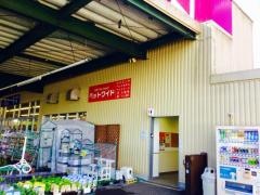 ペットワイド　溝陸店