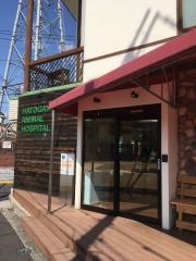 はとがや動物病院