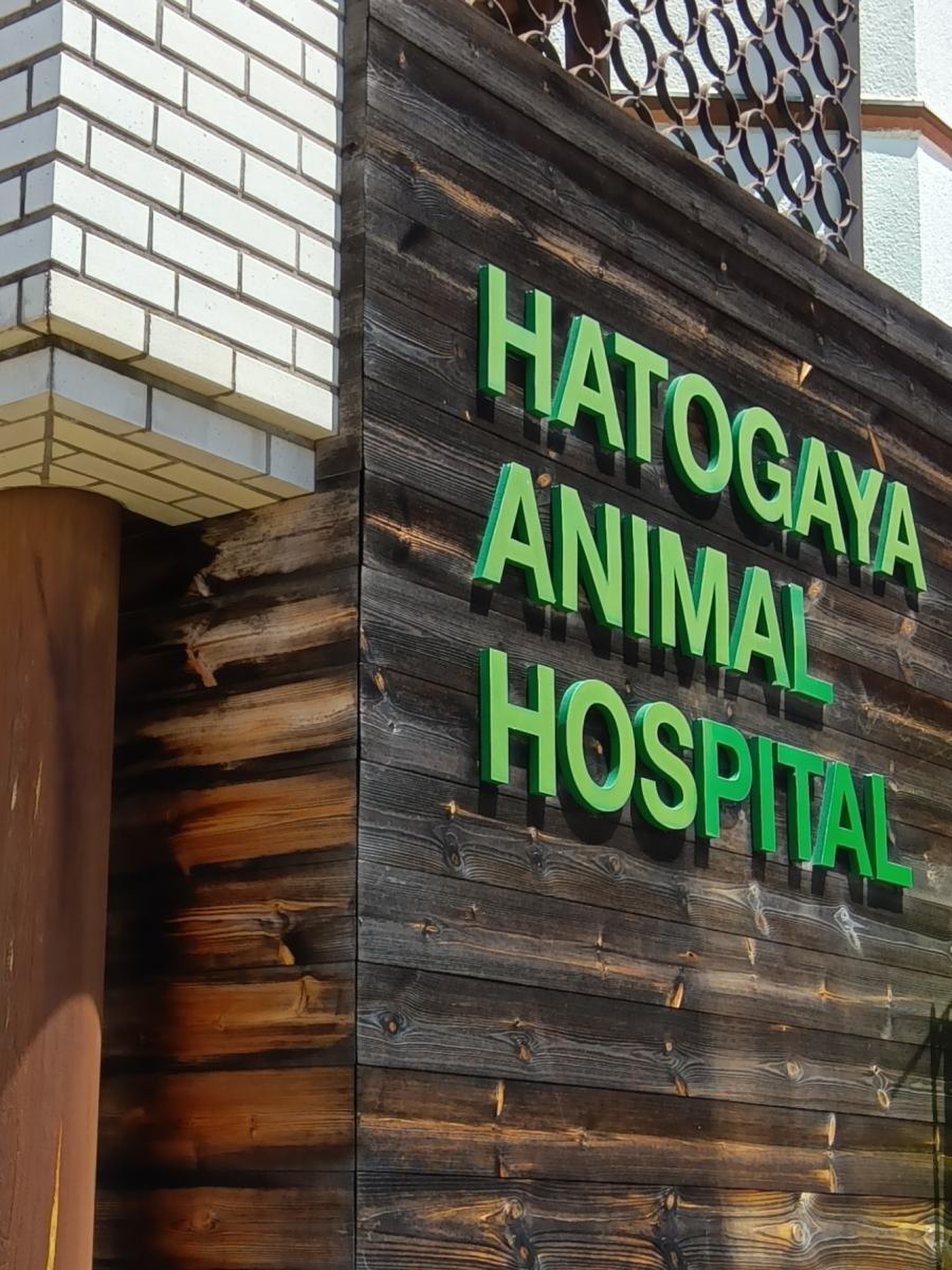 は と が や 動物 病院