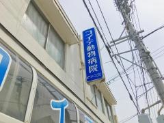 コイデ動物病院
