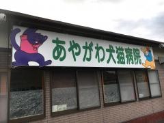 あやがわ犬猫病院