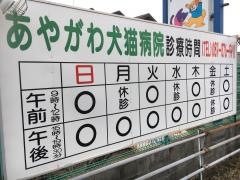 あやがわ犬猫病院