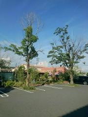 ルイジアナママ　西尾店