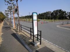 「新浦安温泉」バス停留所