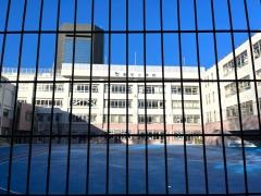 数矢小学校