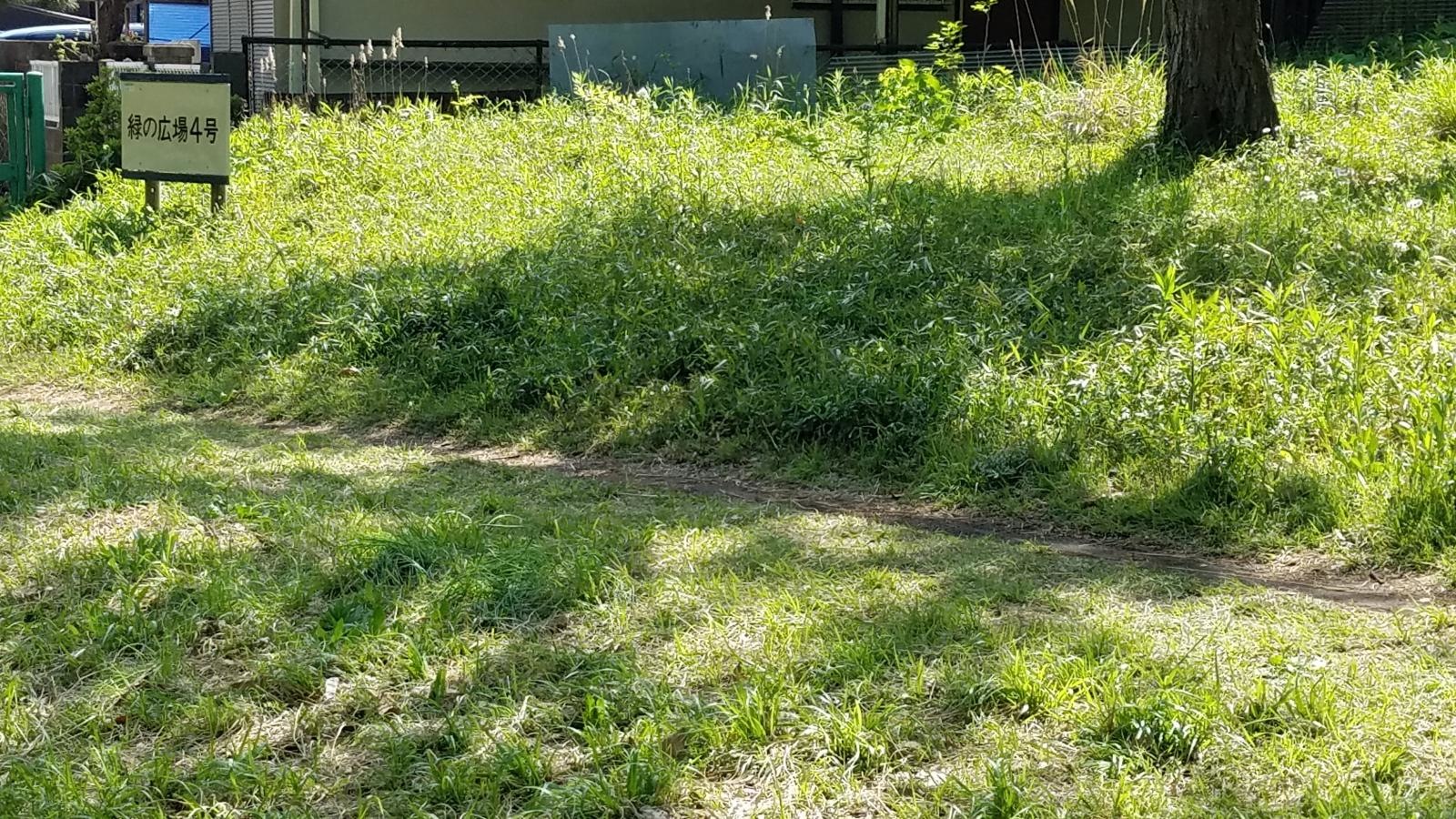 緑の広場4号