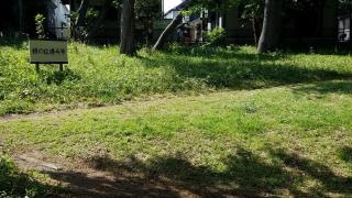 緑の広場4号