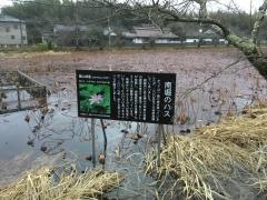 篠山城跡