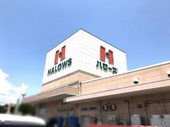 ハローズ連島店