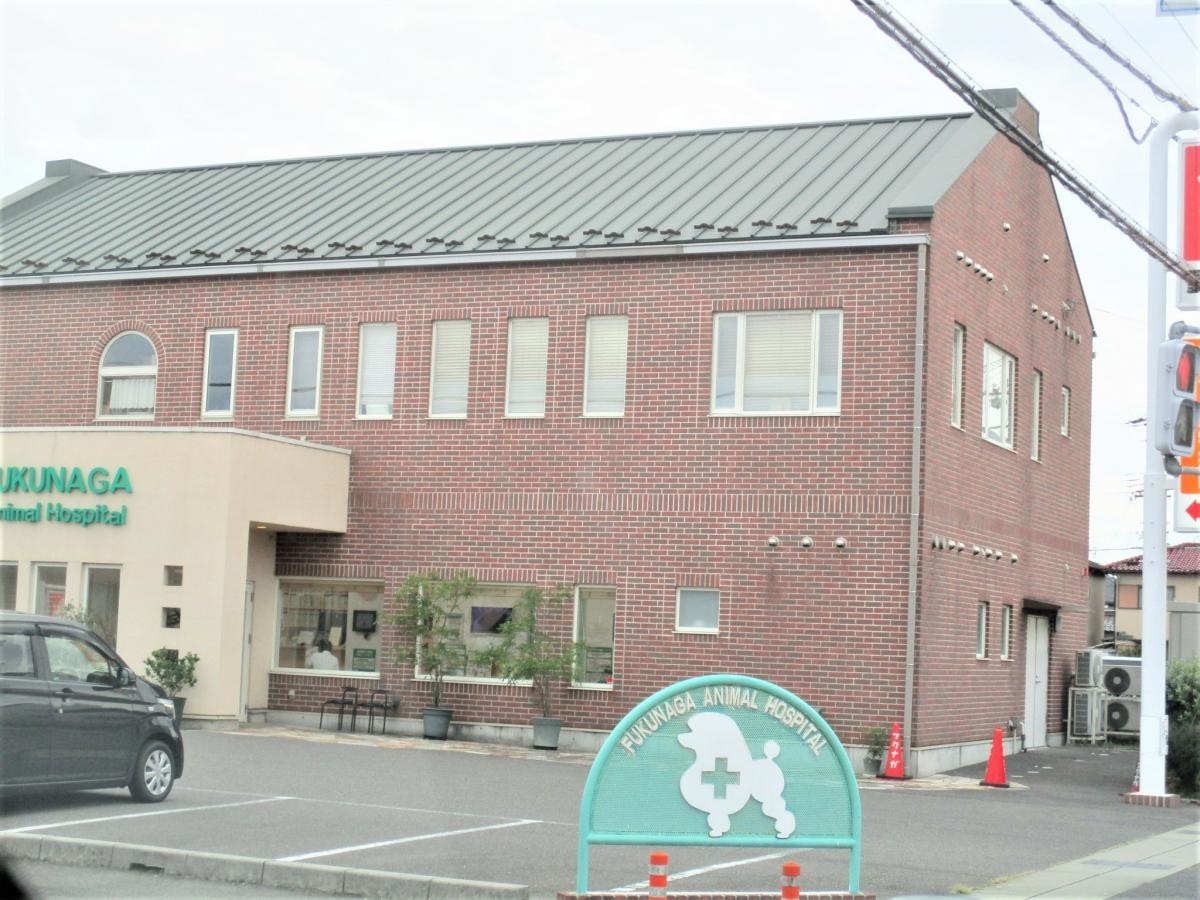 建物