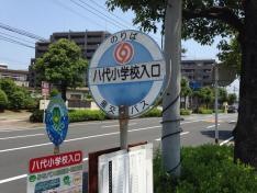 「八代小学校入口」バス停留所