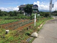 「岩井戸」バス停留所