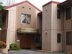 ひなぎく