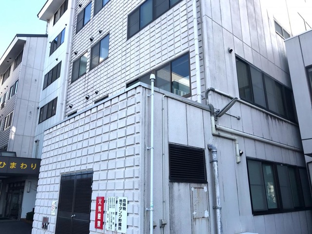 ひまわり