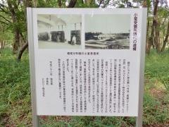 無線山・ＫＤＤＩの森