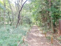 無線山・ＫＤＤＩの森