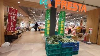 フレスタアルパーク店