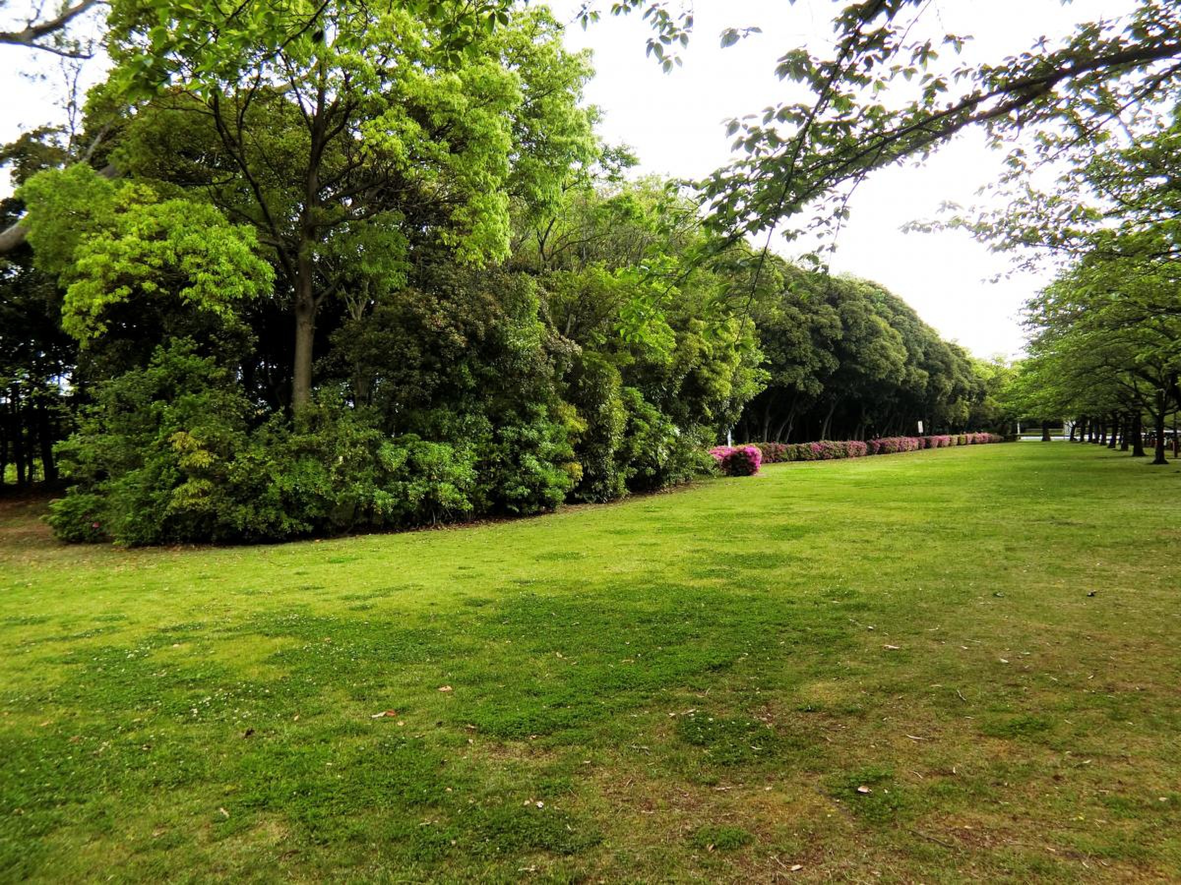 市原 緑地 運動 公園