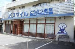 スマイルどうぶつ病院・美浜