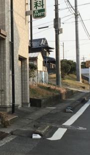 藤田歯科