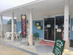 つくみイルカ島