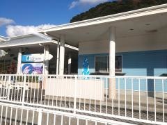 つくみイルカ島