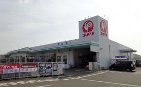 コメリハード＆グリーン　新居店