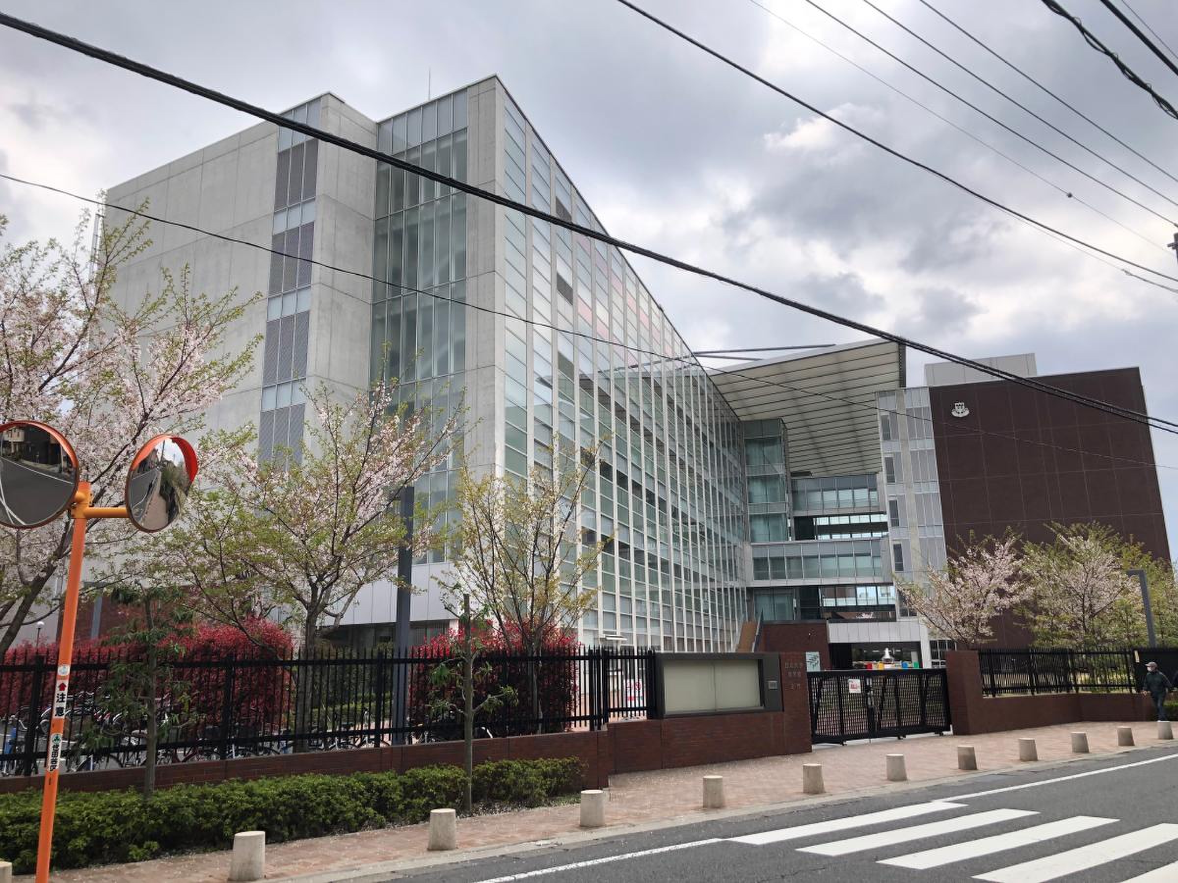 日 大 商学部