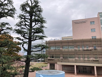 スタディピア 日本大学商学部 世田谷区