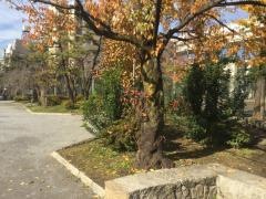 深川公園