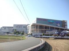 イオン　筑紫野店