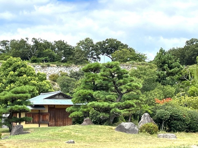 投稿写真8