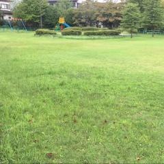 中丸公園