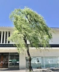 京都銀行大和郡山支店