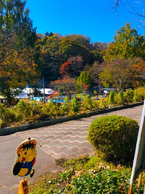 パブリネット 秋保リゾート森林スポーツ公園 仙台市太白区秋保町湯元