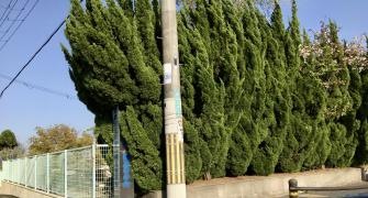 京都府立京都八幡高等学校