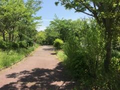 緑が丘北緑地